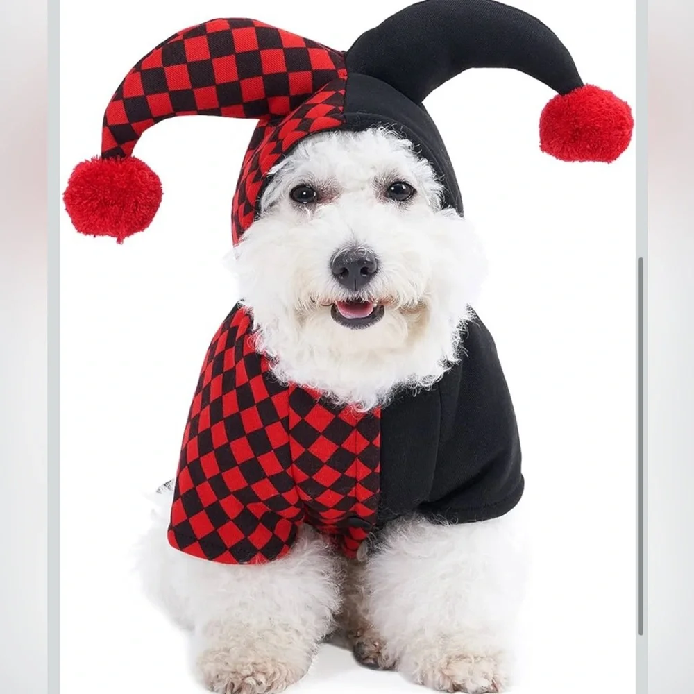 Red and Black Jester Dog Costume